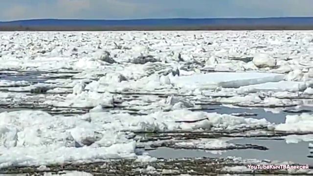 Ледоход Нижний Бестях - Якутск. 19 мая 2021г. Ice drift Nizhniy Bestyakx - Yakutsk. May 19, 2021. смотреть онлайн