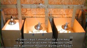 Инкубатор своими руками