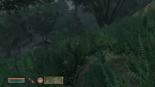 Oblivion Quest Walkthrough - Raid on Greyland смотреть онлайн