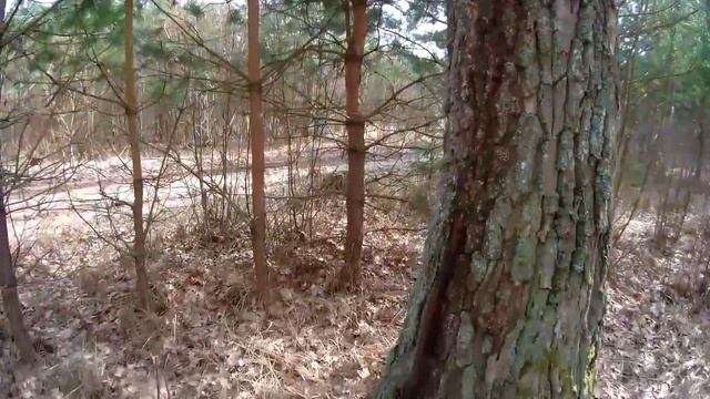 Велопокатушка к Ведьминому дубу. Покатушки вокруг Могилева смотреть онлайн