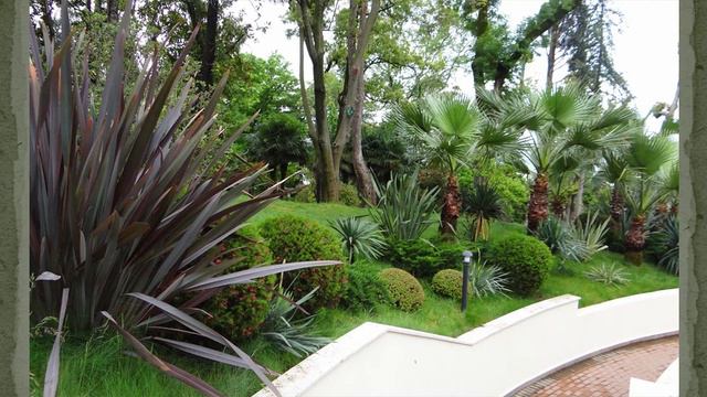 Парк Swissotel Камелия Сочи смотреть онлайн