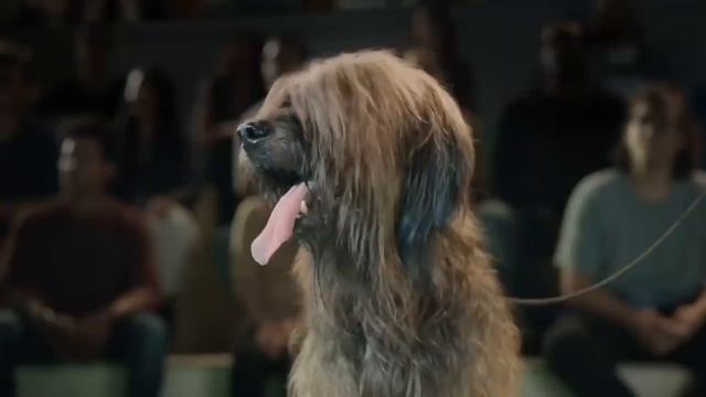 (2024 New Years SP) (UK) 2022 Skoda Kamiq Commercial