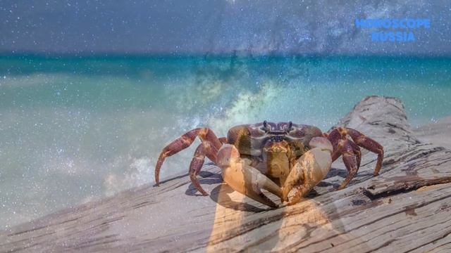 Любовный Гороскоп на Июль 2021 года Рак / Самый Точный Гороскоп смотреть онлайн