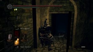 Как и где найти Домналла из Зены в Dark Souls Remastered?