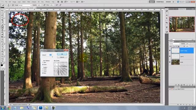 Photoshop Tutorial: Forest SUNBEAMS! How to make them filter through trees смотреть онлайн