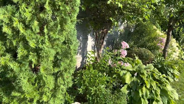 Цветник в саду . Привожу цветник в порядок . Цветник как с картинки журнала смотреть онлайн