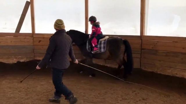 Открытый урок пони-клуба Сивка смотреть онлайн