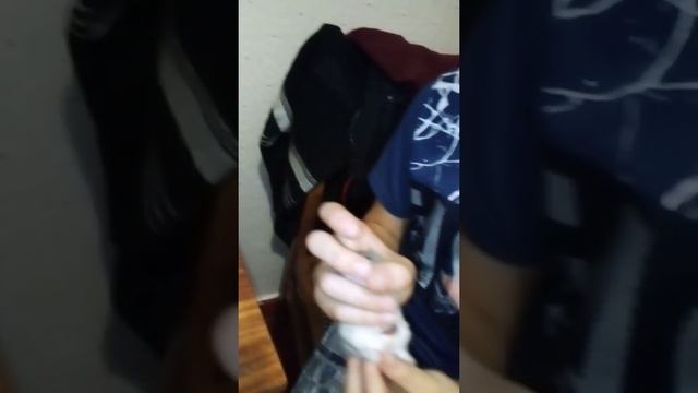 Оказание первой помощи хомяку после укуса кота. смотреть онлайн