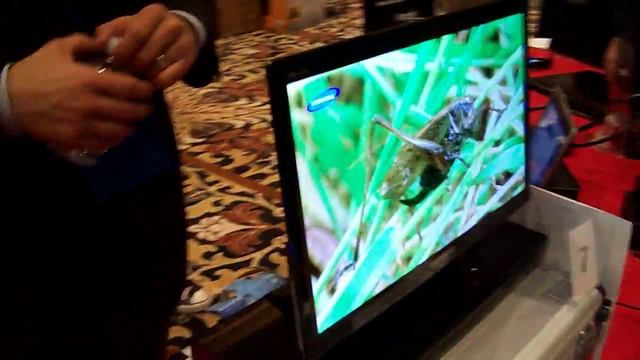 Samsung OLED Display