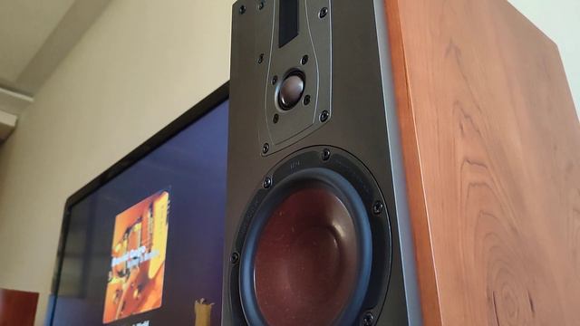 This Is A Man's World , Dali Mentor 6