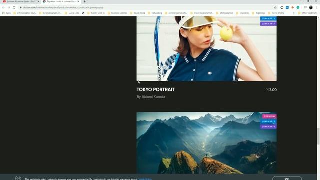 How to use Liminar Looks in Luminar 4.2 смотреть онлайн