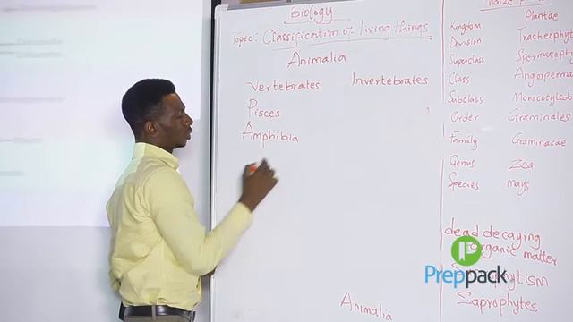 Classification of living things Part B смотреть онлайн