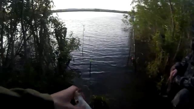 ловля леща второй выезд на реку чулым смотреть онлайн