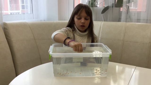 Отсадник для мальков своими руками смотреть онлайн