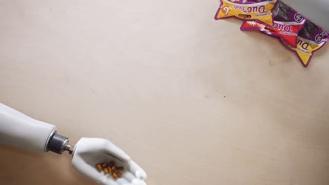 Picture Purrfect: The Art of an Healthy Cat Diet - Whiskas K.I.T. смотреть онлайн