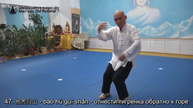 Тайцзи Ян 85 форм с названиями движений, Мастер Ши Янбин - видео для самостоятельного повторения смотреть онлайн