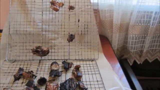 Зеленый Квадрат: посёлок Царские Берега по Минскому шоссе смотреть онлайн