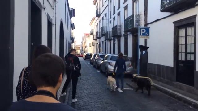 Portugal, Ponta Delgada смотреть онлайн