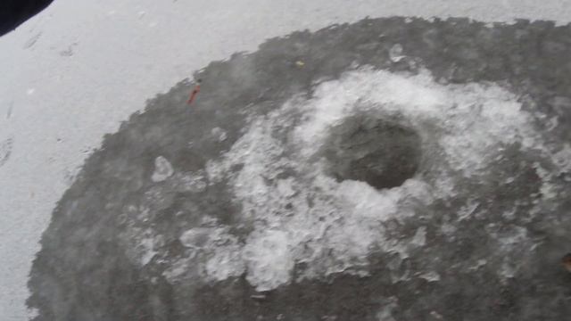 ЭКСКЛЮЗИВ. ЗИМНЯЯ РЫБАЛКА в затопленном саду!НЕ ДУМАЛ что поймаю щуку.ЩУКА на ЖЕРЛИЦЫ смотреть онлайн