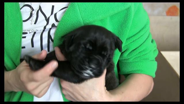 Расширяем рацион смотреть онлайн