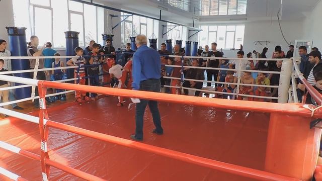 спаринг кикбоксинг Анапа 5.12.2015 смотреть онлайн