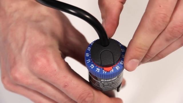 How to Set Up, Install, and Calibrate your Eheim Jager Heater | BigAlsPets.com смотреть онлайн