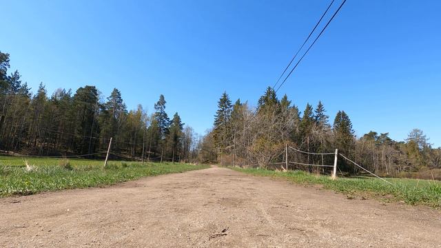 Green Screen Background a gravel road walk out on a meadow/Chroma Key Backgrounds смотреть онлайн