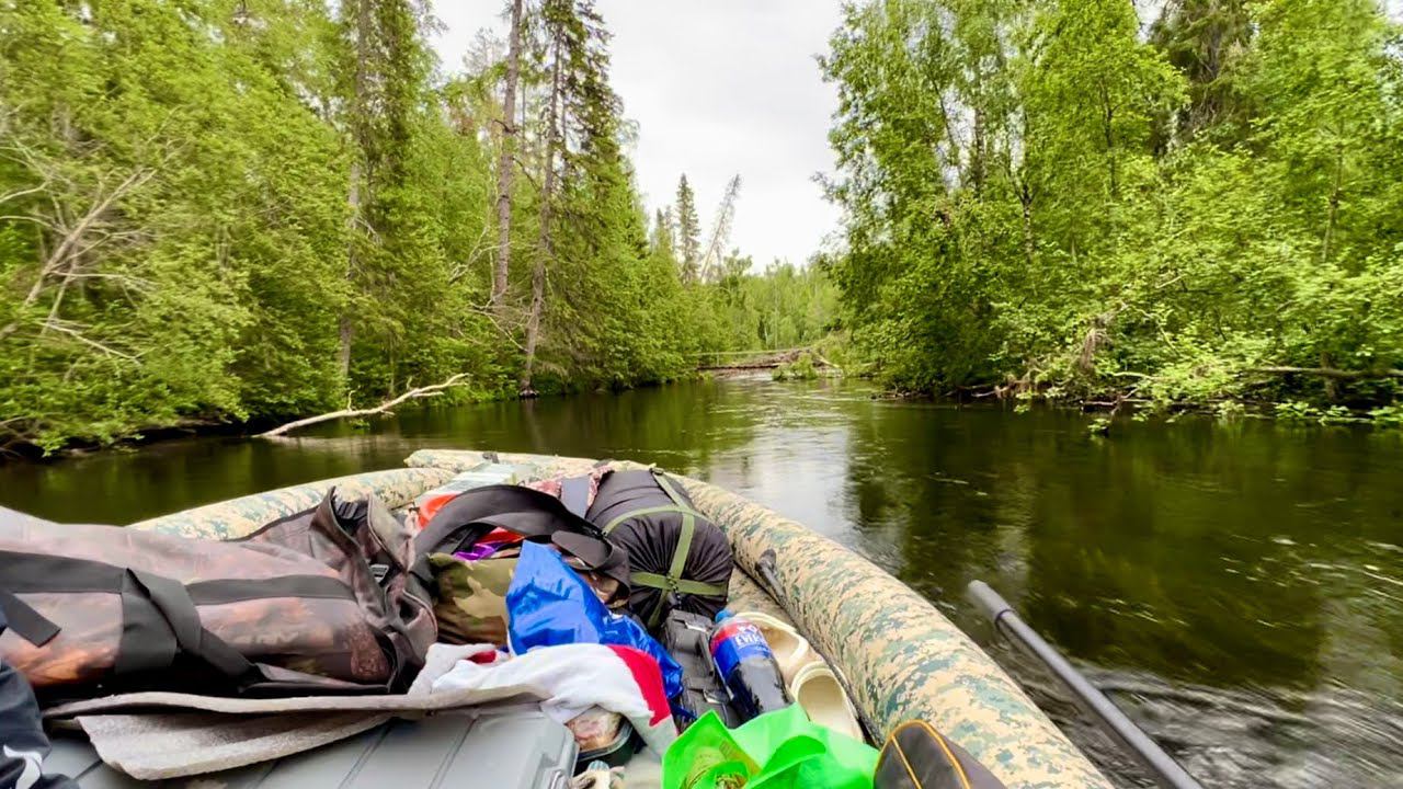 ✅ РЕКА #2 SOLAR SJT Exp + ВОДОМЁТ TOHATSU 50 НА УЗКОЙ ЛЕСНОЙ РЕЧКЕ ОТ ПЕРВОГО ЛИЦА #Рыболов_Севера смотреть онлайн