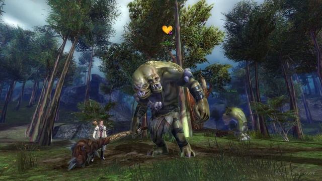 Lionguards and the Lion Road | Queensdale - 6 #guildwars #guildwars2 смотреть онлайн