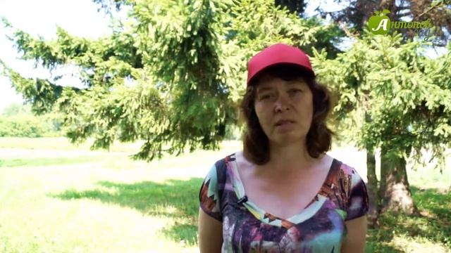 Как вырастить урожайный картофель: советы Татьяны Штайнерт смотреть онлайн