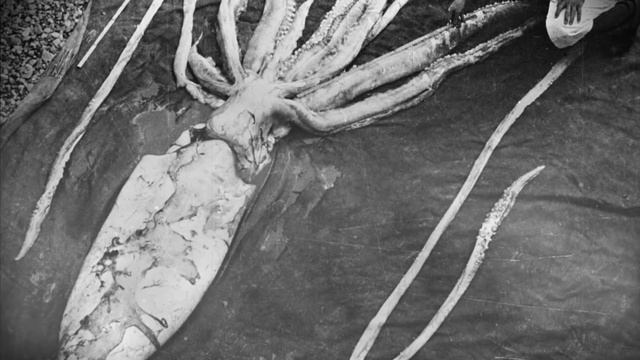 Истории о Непознанном:СБОРНИК№7 смотреть онлайн