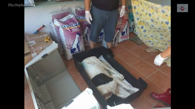 A Greek island called Hell смотреть онлайн