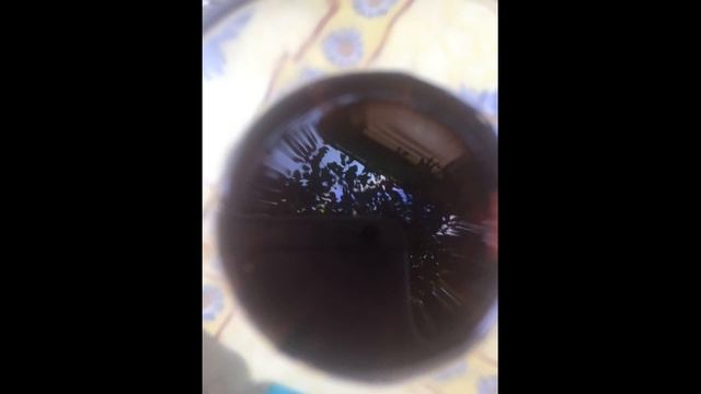 Ефимовская дача смотреть онлайн