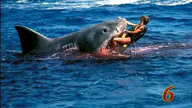 Самые опасные животные в мире смотреть онлайн