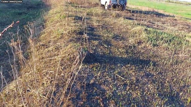 ВСПАХАЛИ ОГОРОД. КЛУБНИКА. ЗАЦВЕЛА СЛИВА И ВИШНЯ. ПОСАДИЛИ КАРТОШКУ. смотреть онлайн