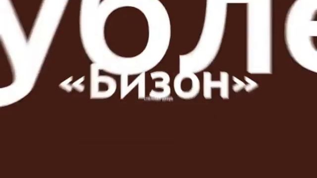 Дверидофф — «Бизон» смотреть онлайн