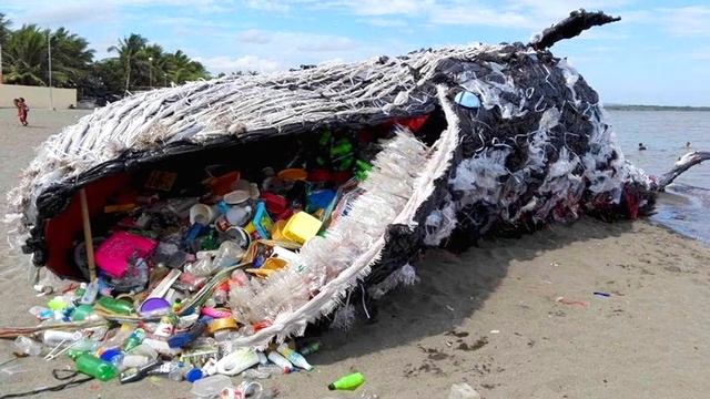 Его появление шокировало весь мир: вот что нашли в желудке кита смотреть онлайн