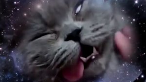 ПЛЮС 100 500  ПЛЮС 100 500 смотреть +100500   БУРУНДУЧАК  Новый Эпизод Макс 100500 рекомендует!