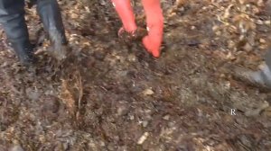 Путешествие на край земли. Командорские острова. Камчатский край.