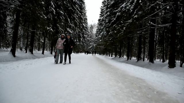 Павловск зимой. Как доехать. Зимние развлечения в Павловске смотреть онлайн
