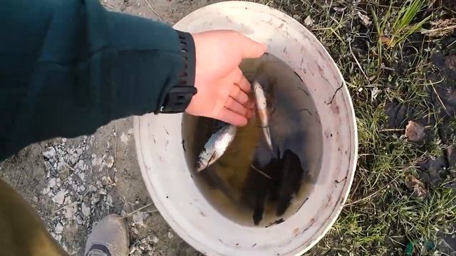 Открываем сезон жидкой воды. Ловля чебака. Рыбалка. Плотва весной. Жарим шашлык на природе. Fishing