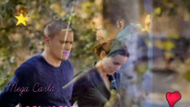 Wentworth Miller 