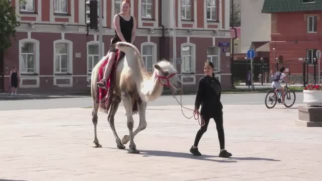 Аттракционы на цветном бульваре в Тюмени. mp4 смотреть онлайн