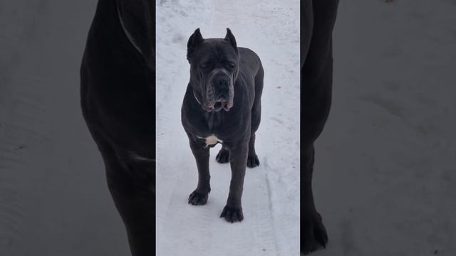 23 февраля 2024 г. смотреть онлайн