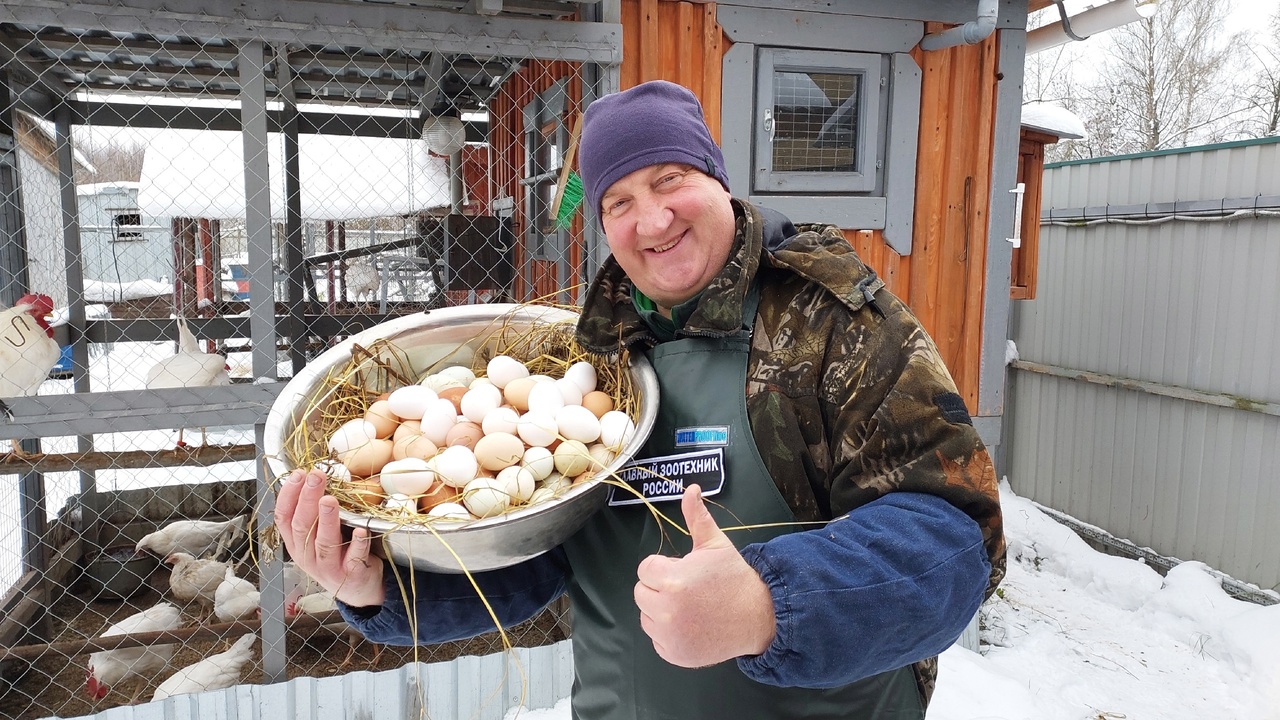КАК УВЕЛИЧИТЬ ЯЙЦЕНОСКОСТЬ КУР ЗИМОЙ! И ПОЛУЧАТЬ ЧИСТОЕ ЯЙЦО! смотреть онлайн