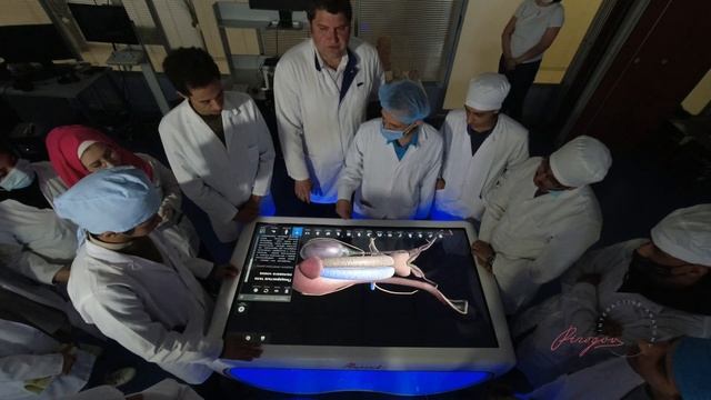 Usage Of Pirogov Anatomy At Anatomy Class With Foreign Students