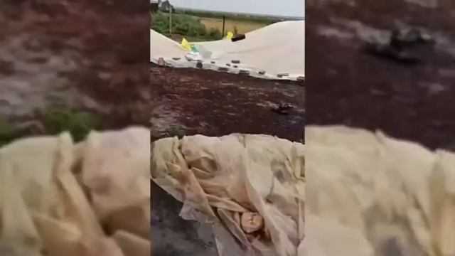 Как сохранить 130 т Пшеницы и Ячменя без склада в домашних условиях?Как окупает себя хранения зерна смотреть онлайн