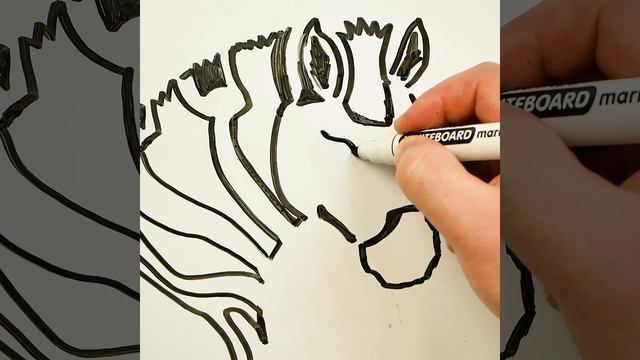 How To Draw A Zebra Head ? Drawing Animals On A Whiteboard
