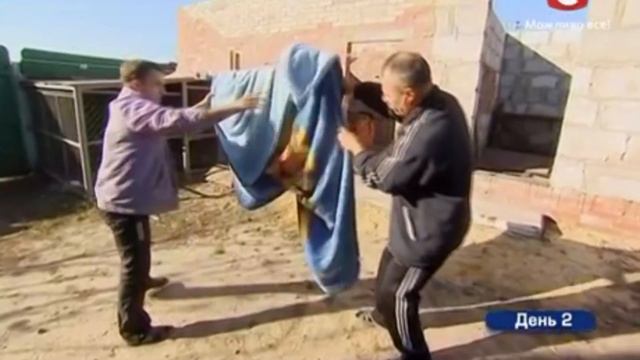 как мужчины вешают одежду ? – Хата на тата Сезон 4 Выпуск 5 от 21 09 15 смотреть онлайн