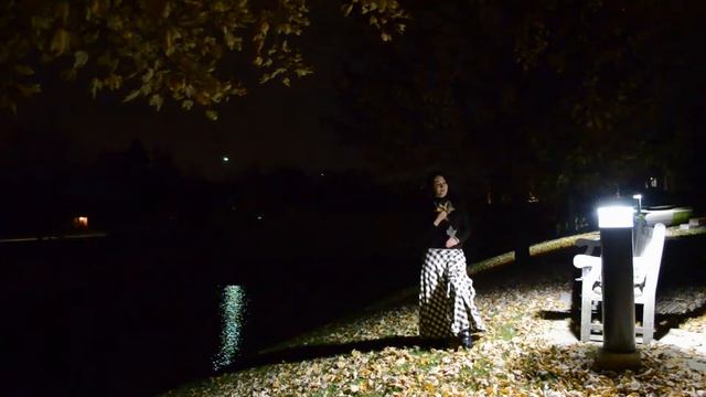 В Огромном Городе Моем Ночь , Марина Цветаева смотреть онлайн